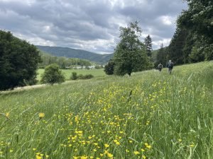 Wiesenweg